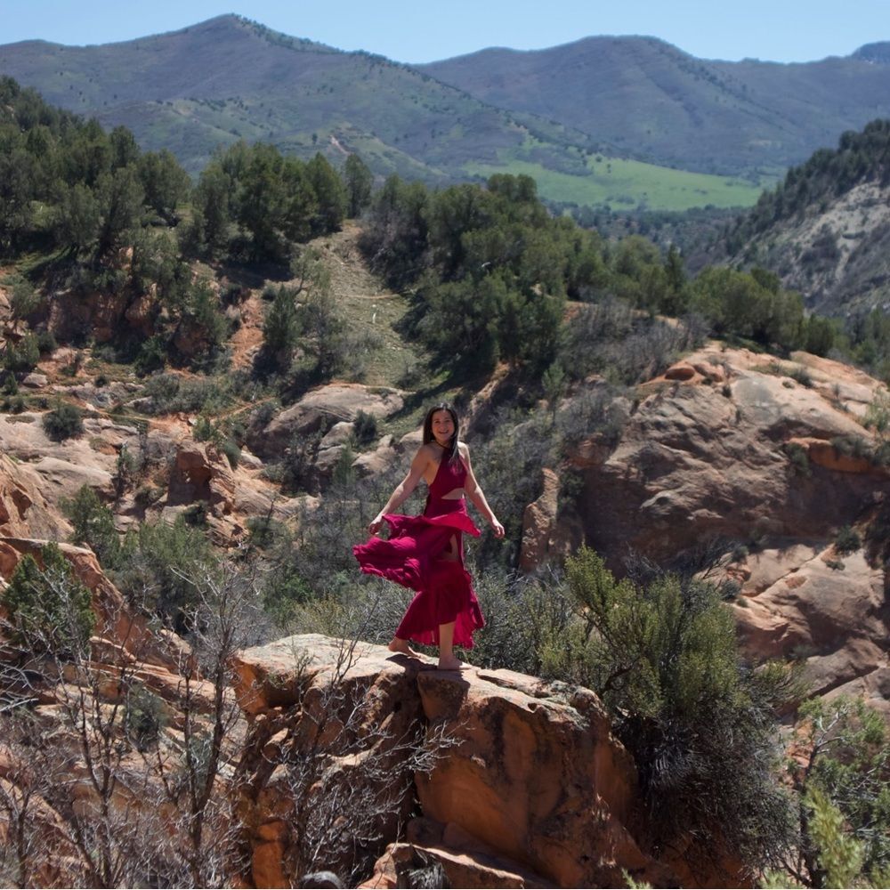 Free People Bring On The Heat Maroon Red Small Maxi Dress Rare Vintage burgundy